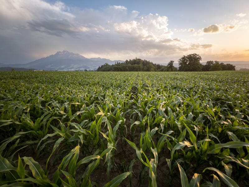 photo titre agriculture